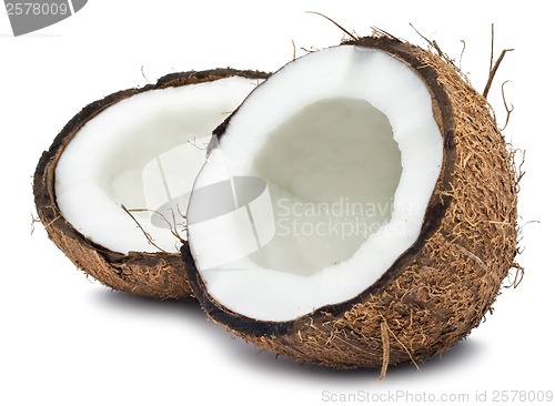 Image of Coconut