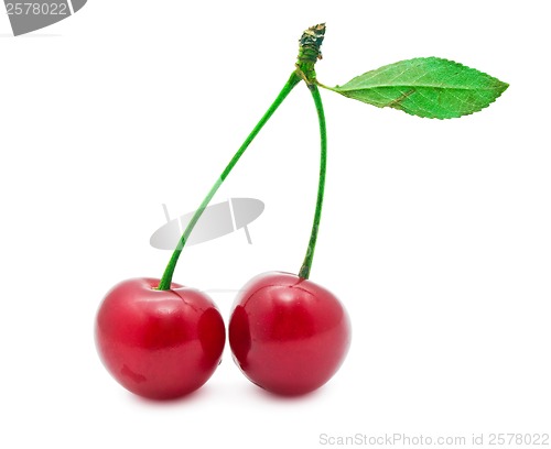 Image of Red cherry