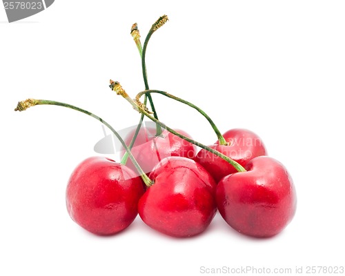 Image of Red cherry