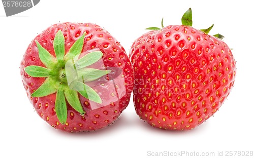 Image of Strawberry