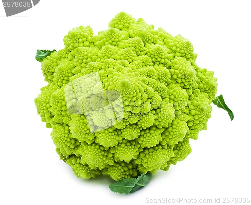 Image of Romanesco broccoli