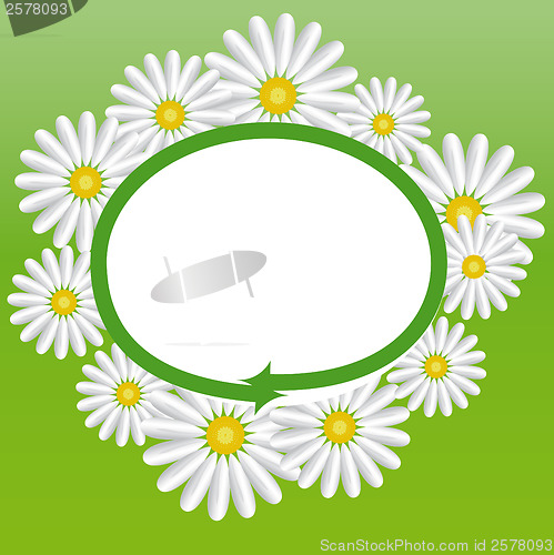 Image of Daisies