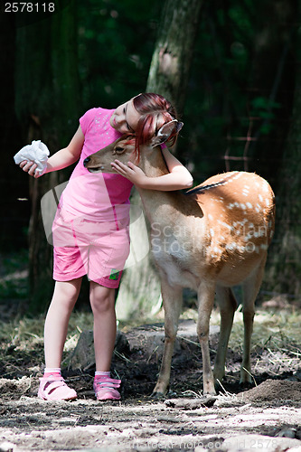 Image of Girl and sika deer