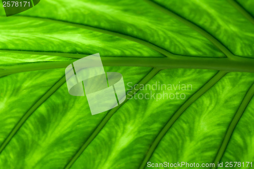 Image of Abstract background photo