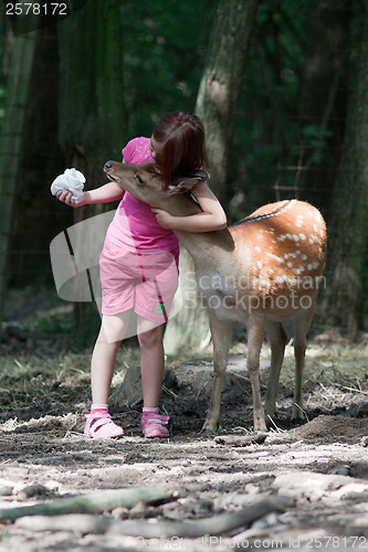 Image of Girl and sika deer