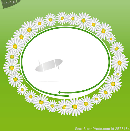 Image of Daisies