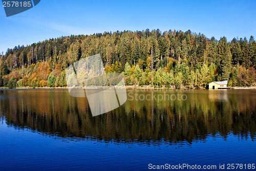 Image of Lake with reflection of autumn