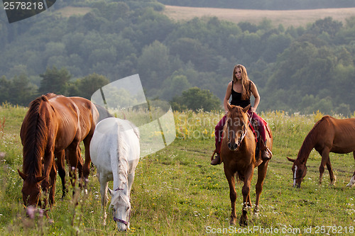 Image of Young girl with a horse