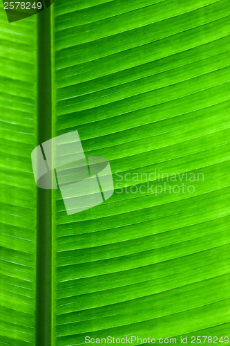 Image of Abstract background photo