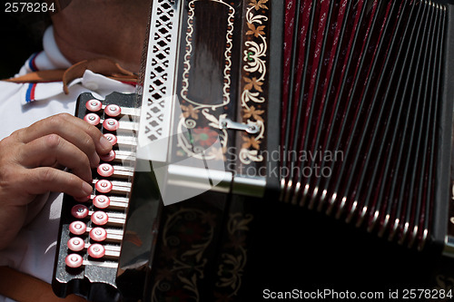 Image of The accordion