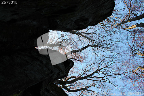 Image of Rocky landscape in autumn