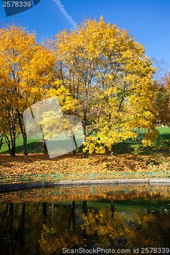 Image of Autumn