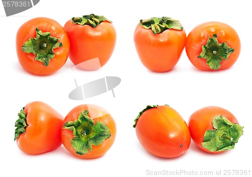 Image of Persimmon