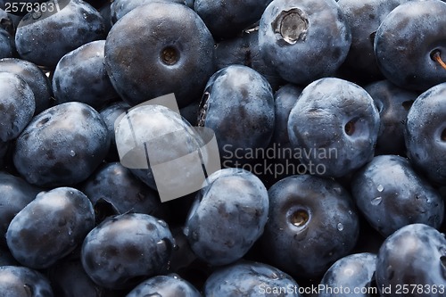 Image of Blueberries