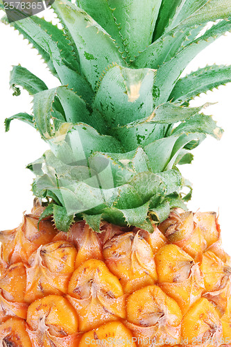 Image of Pineapple