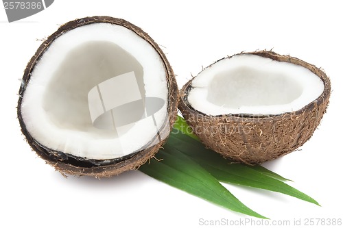 Image of Coconut