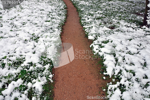 Image of snow roads