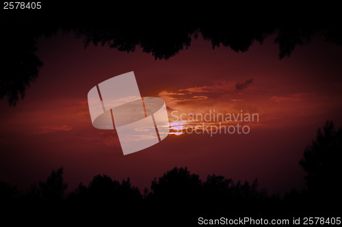 Image of setting sun tree frame