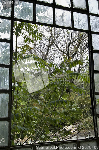 Image of factory window view