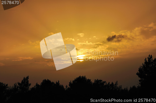 Image of setting sun tree silhouettes