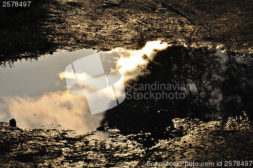 Image of muddy water