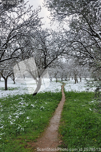 Image of first snow this year