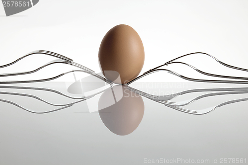 Image of Hen's Egg