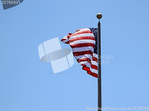 Image of USA Flag