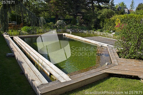 Image of Swimming pool
