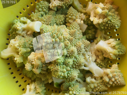 Image of Romanesco Broccoli