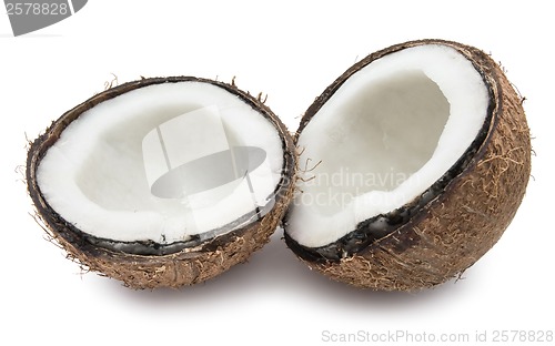 Image of Coconut
