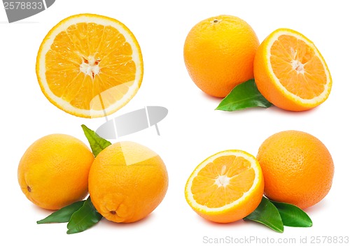 Image of Oranges