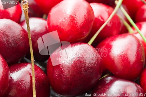 Image of Red cherry