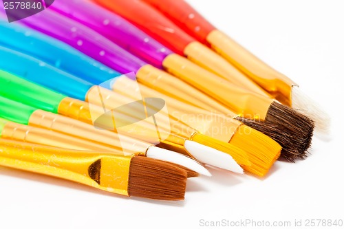 Image of Brushes