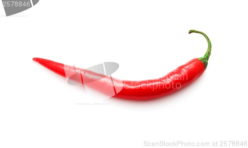 Image of Hot chili pepper