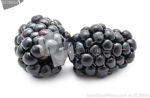 Image of Blackberry