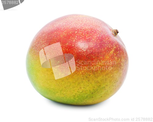 Image of Mango