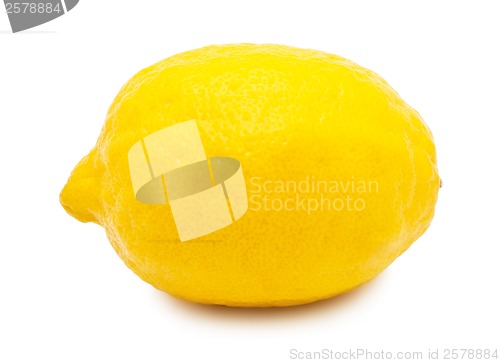 Image of Lemon