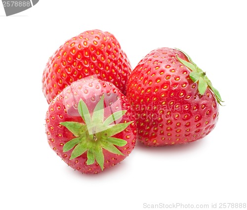 Image of Strawberry