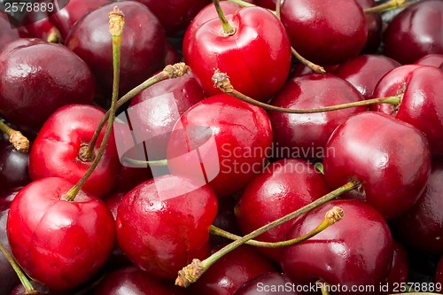 Image of Red cherry