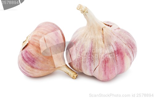 Image of Garlic