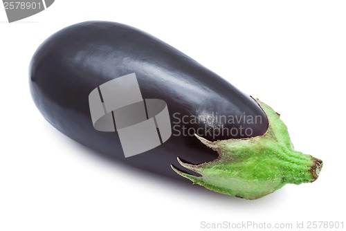 Image of Aubergine