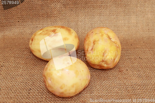 Image of tasty potato on the gray sacking