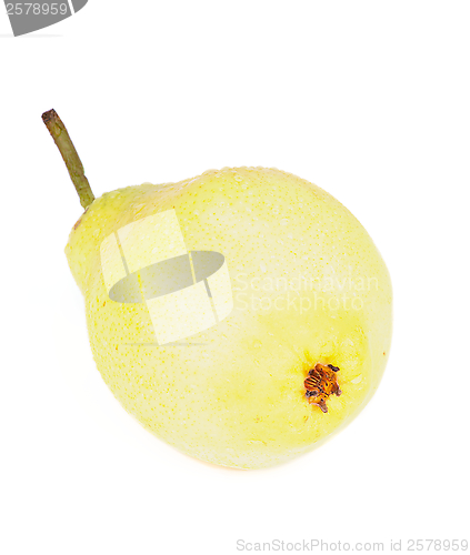 Image of Yellow Pear