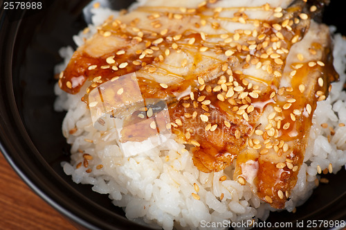 Image of eel with rice