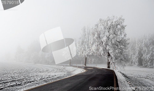 Image of winter Road going in to the fog