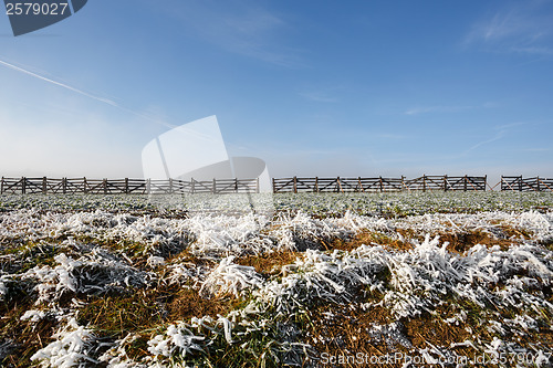 Image of winter background with frost grass and snowdrift barrier