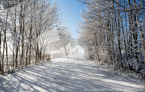 Image of Winter road on a sunny frosty day