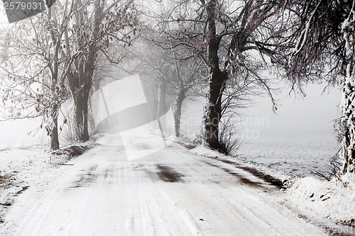 Image of winter Road going in to the fog