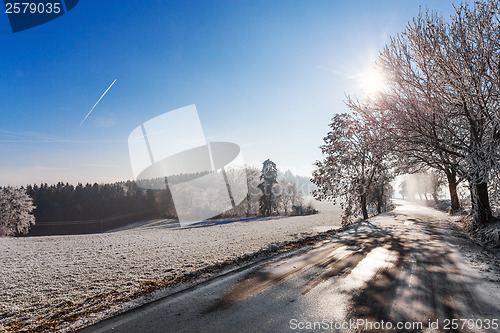 Image of Winter road on a sunny frosty day